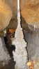 PICTURES/Caverns of Sonora - Texas/t_Large Popcorn Column1.JPG